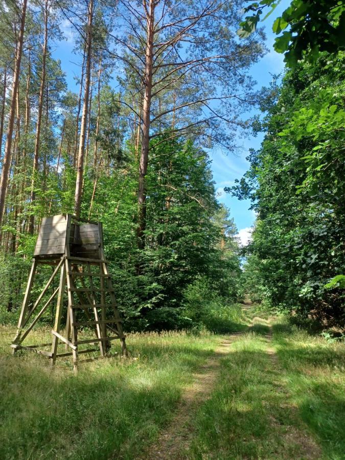 Waldblick Villa Cavertitz Eksteriør bilde