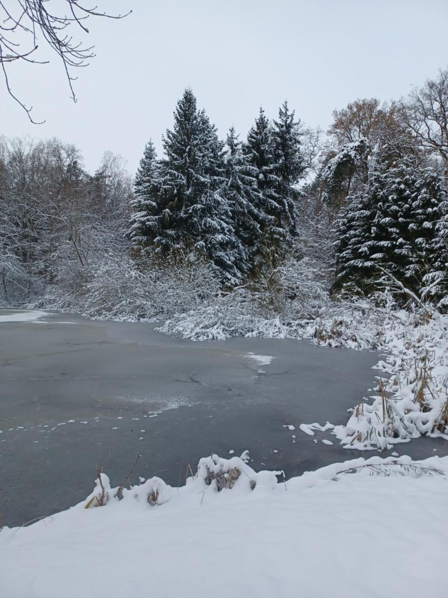 Waldblick Villa Cavertitz Eksteriør bilde